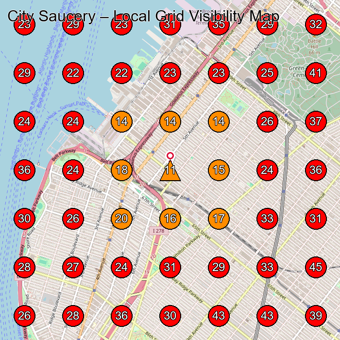 City Saucery GeoGrid visibility map for Food Manufacturer in Brooklyn
